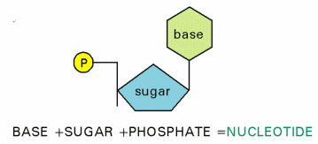 hspace=0