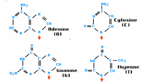 hspace=0