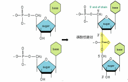 hspace=0