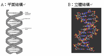 hspace=0